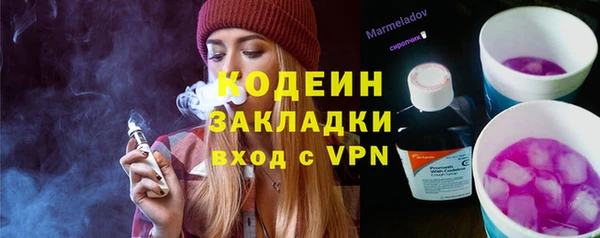 эйфоретик Ельня