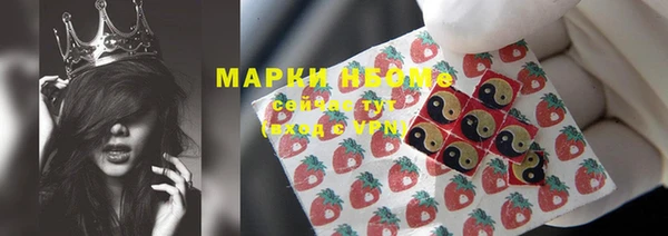 МДПВ Елабуга