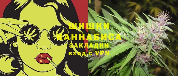 эйфоретик Ельня