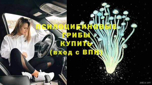 МДПВ Елабуга